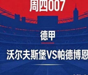 残阵狼堡能否守住德甲？沃尔夫斯堡 VS 帕德博恩