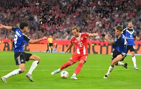 德甲 ：拜仁慕尼黑VS云达不来梅比赛分析