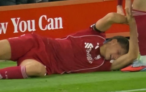 再次绝杀对手晋级，利物浦却“高兴不起来”：19岁天才遭遇重伤